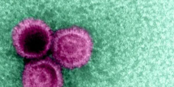 A silent virus might be causing major diseases