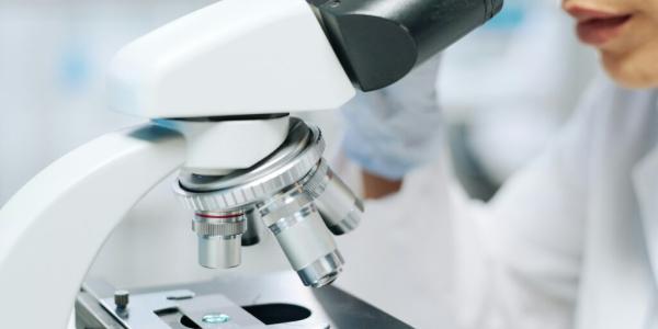 New study adds to evidence that glyphosate weed killer can cause cancer