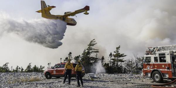 Forest fire travel ban backlash demonstrates lack of investment in trust post-COVID, says public health expert
