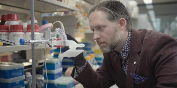 Promising results from Phase 1 human trials of McMaster's inhaled COVID-19 vaccine